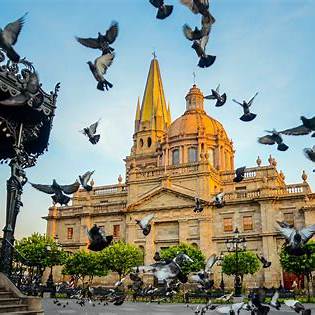 Catedral de Guadalajara con palomas en vuelo